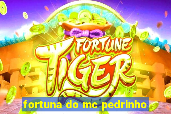 fortuna do mc pedrinho