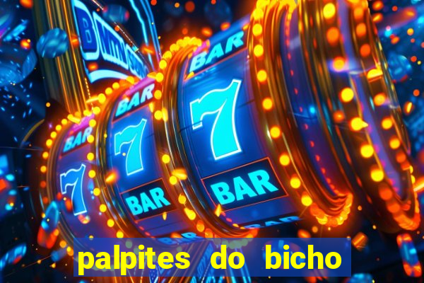 palpites do bicho no celular