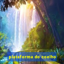 plataforma do coelho