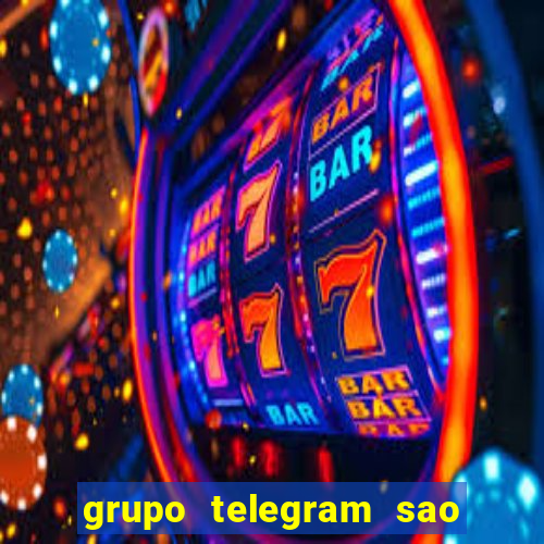 grupo telegram sao jose do rio preto