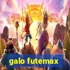 galo futemax