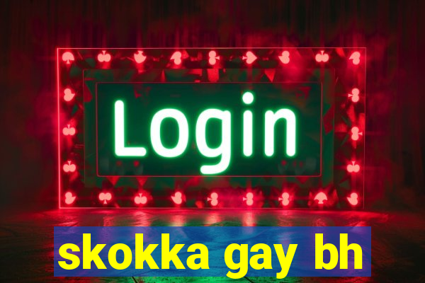 skokka gay bh