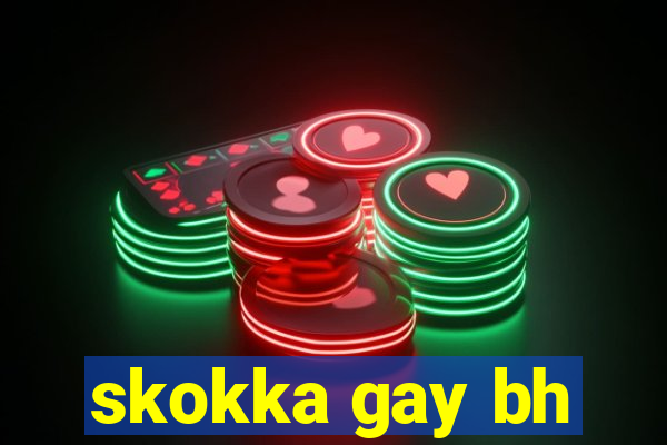 skokka gay bh