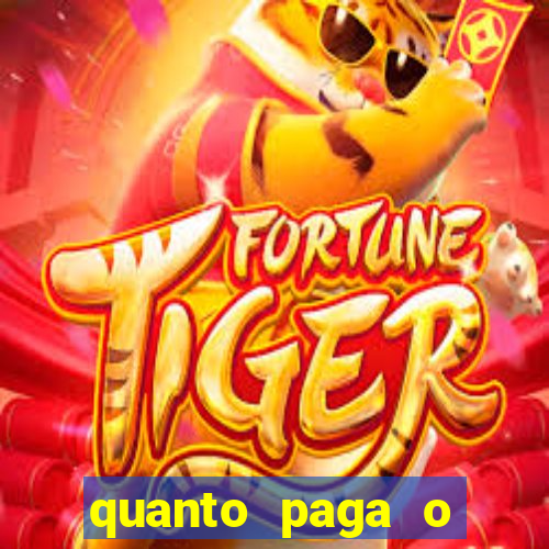 quanto paga o jungle fight