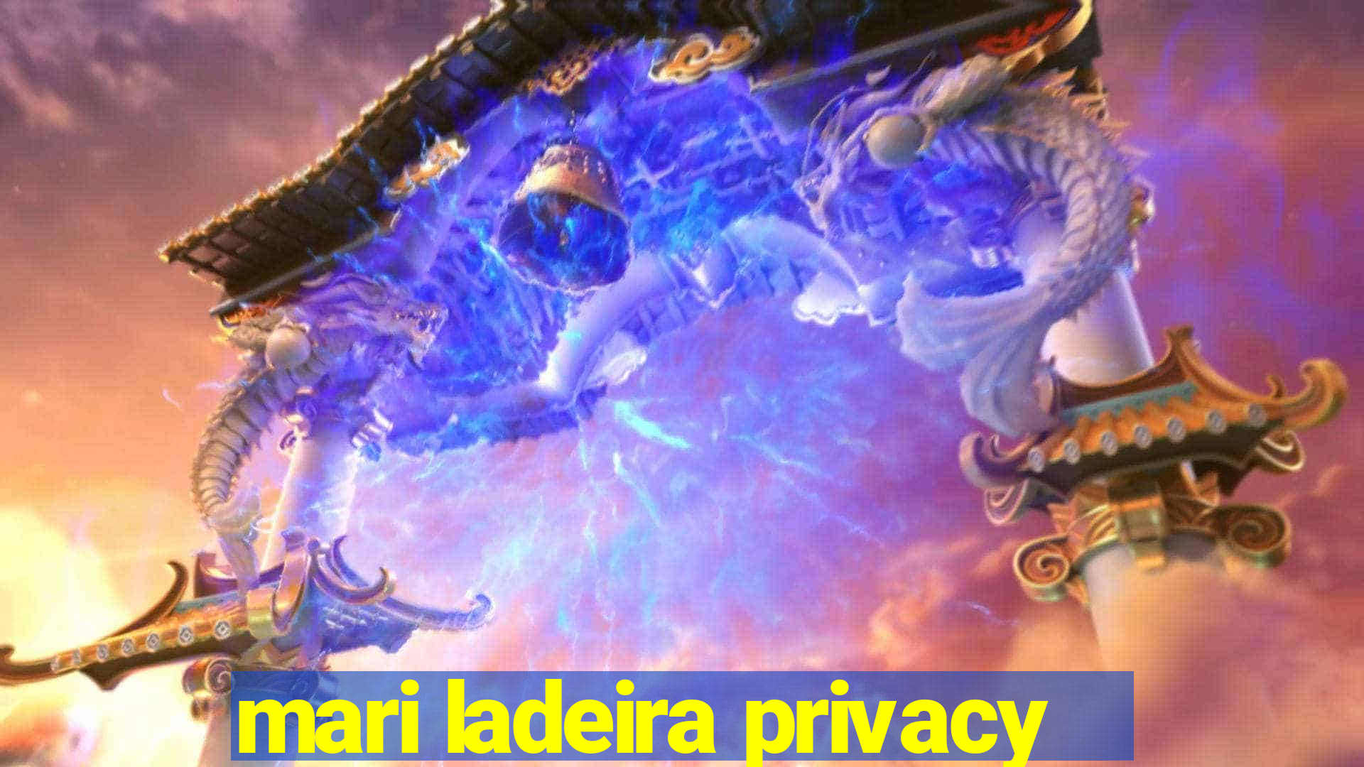 mari ladeira privacy