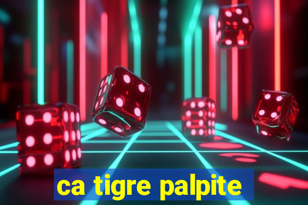 ca tigre palpite