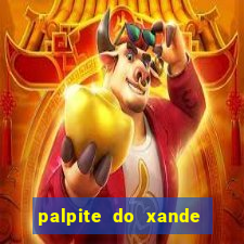 palpite do xande para hoje