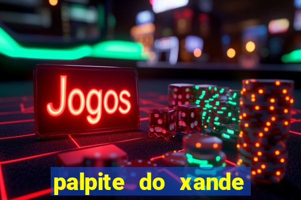 palpite do xande para hoje