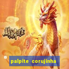 palpite corujinha de hoje