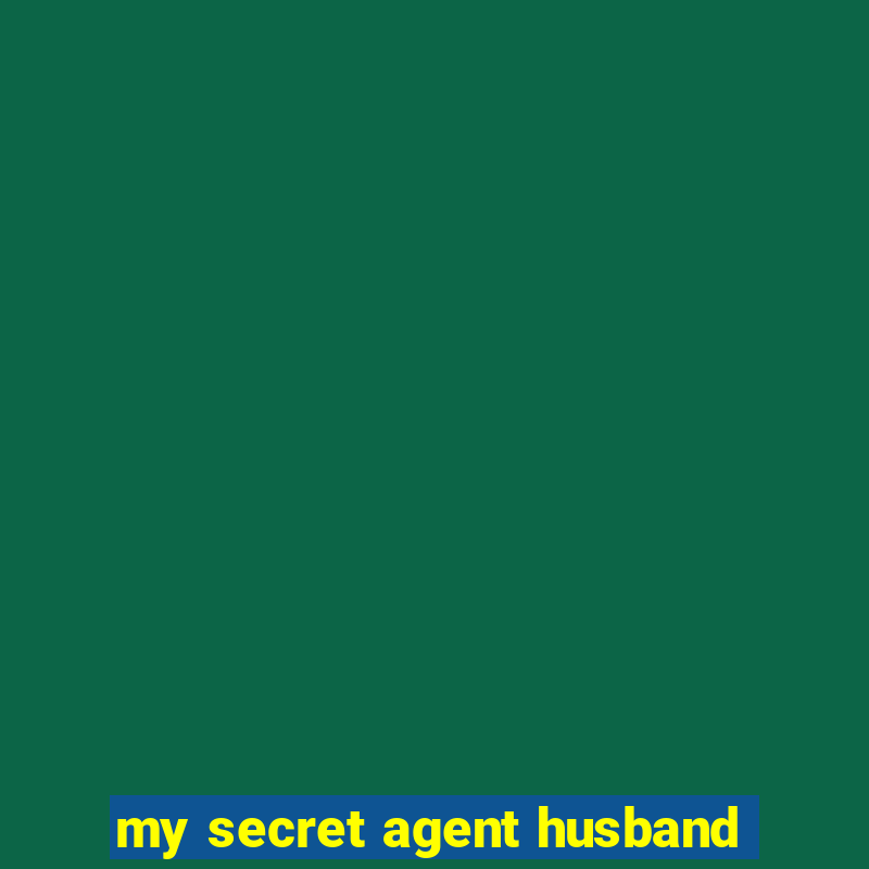 my secret agent husband