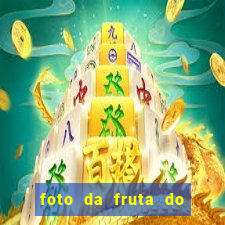 foto da fruta do blox fruits