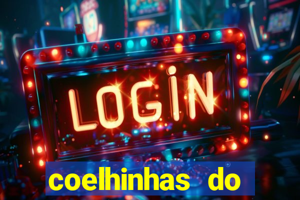 coelhinhas do brasil recife