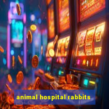 animal hospital rabbits