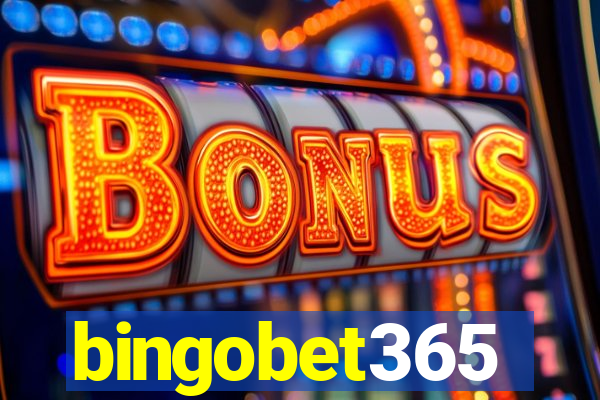 bingobet365