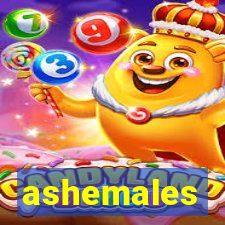 ashemales