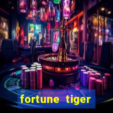 fortune tiger plataforma nova