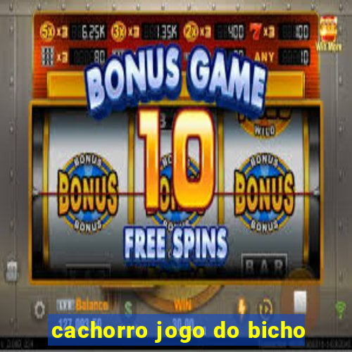 cachorro jogo do bicho