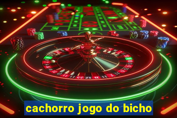 cachorro jogo do bicho