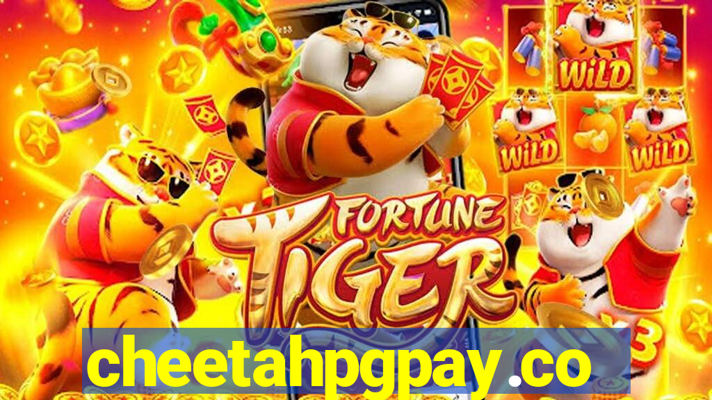 cheetahpgpay.com