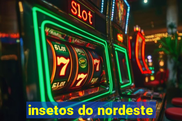 insetos do nordeste