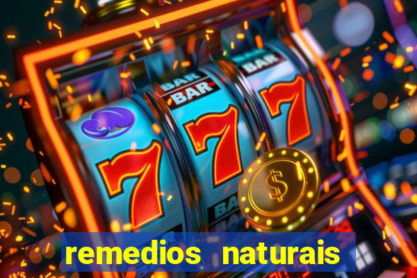 remedios naturais para diabetes