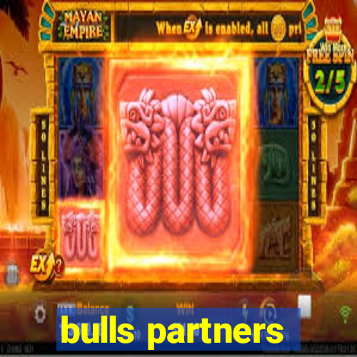 bulls partners