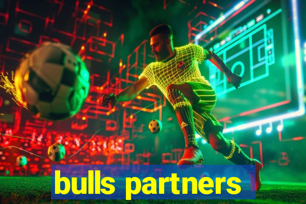 bulls partners