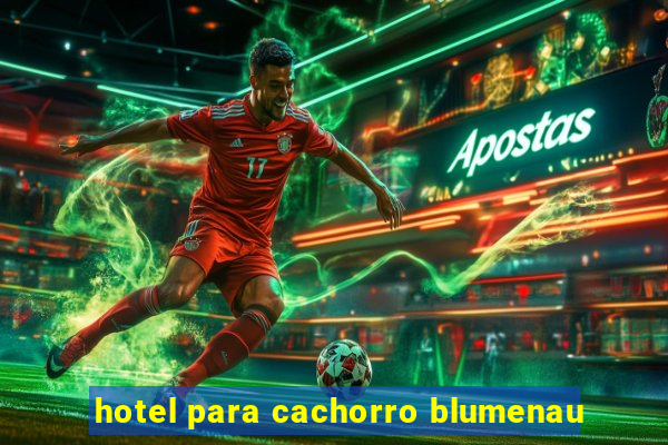 hotel para cachorro blumenau