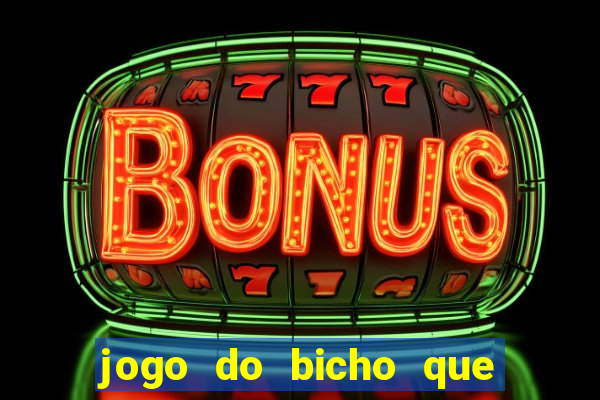 jogo do bicho que paga no pix