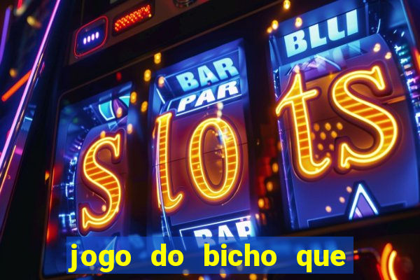 jogo do bicho que paga no pix