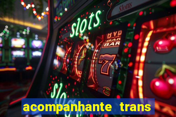 acompanhante trans baixada fluminense