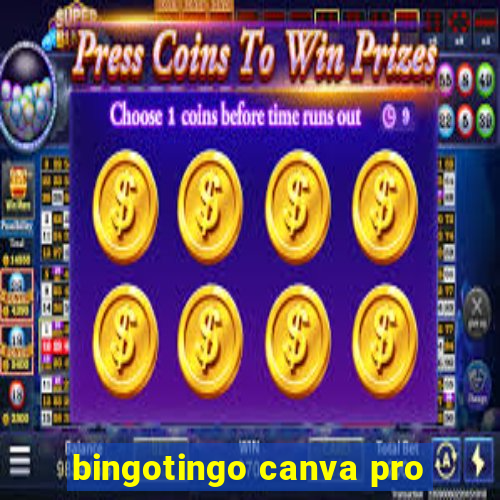 bingotingo canva pro