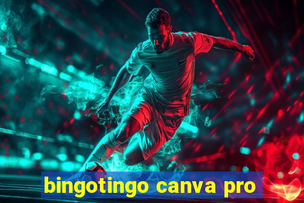 bingotingo canva pro