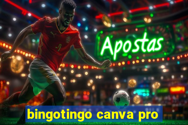 bingotingo canva pro