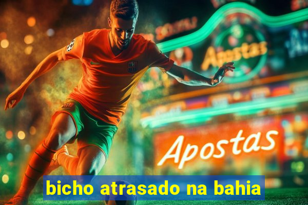 bicho atrasado na bahia