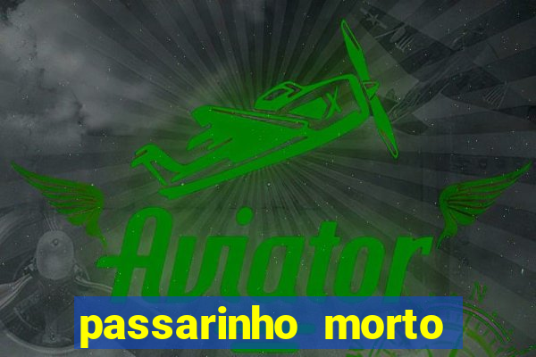 passarinho morto significado espiritual