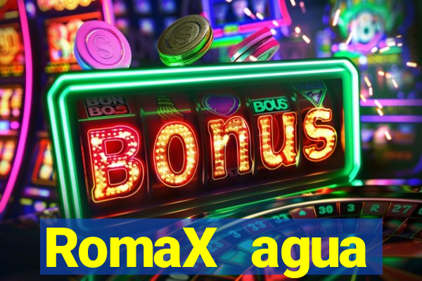 RomaX agua sanitaria fispq agua sanitaria romax