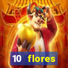 10 flores silvestres desbravadores