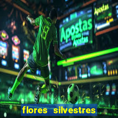 flores silvestres desbravadores desbravadores 25 flores silvestres e seus nomes