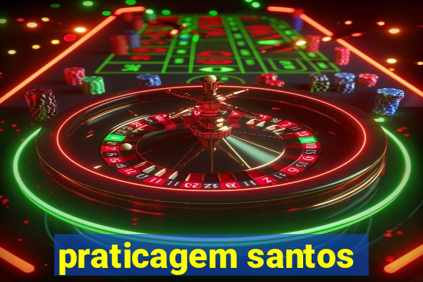 praticagem santos