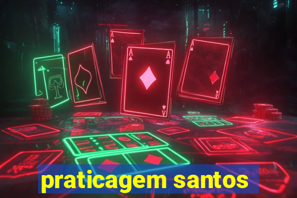 praticagem santos