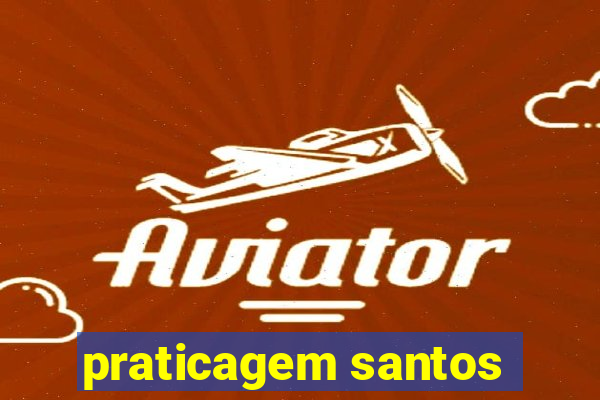 praticagem santos