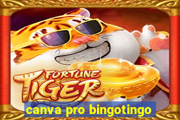 canva pro bingotingo