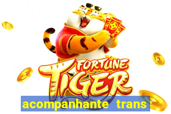 acompanhante trans porto seguro