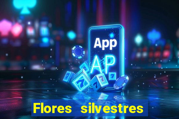 Flores silvestres brasileiras brasileiras flores silvestres nomes e imagens