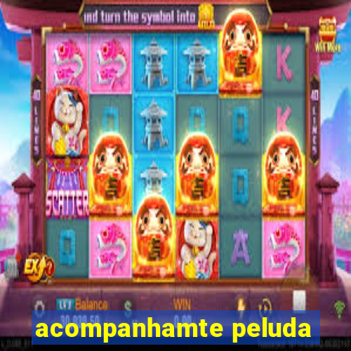 acompanhamte peluda