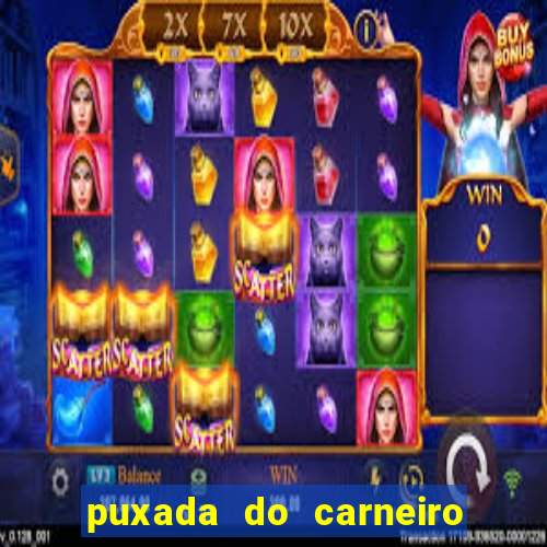 puxada do carneiro no jogo do bicho