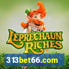 313bet66.com