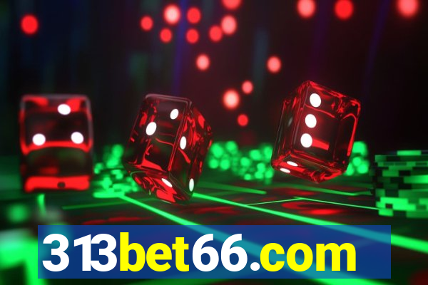 313bet66.com