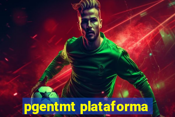 pgentmt plataforma